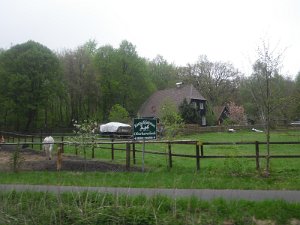 Buchholz 2010 091